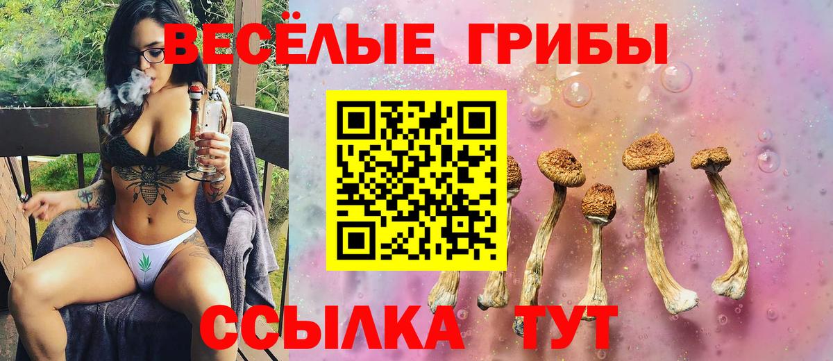 Нефтеюганск  Галлюциногенные грибы мухоморы  Вход с VPN 